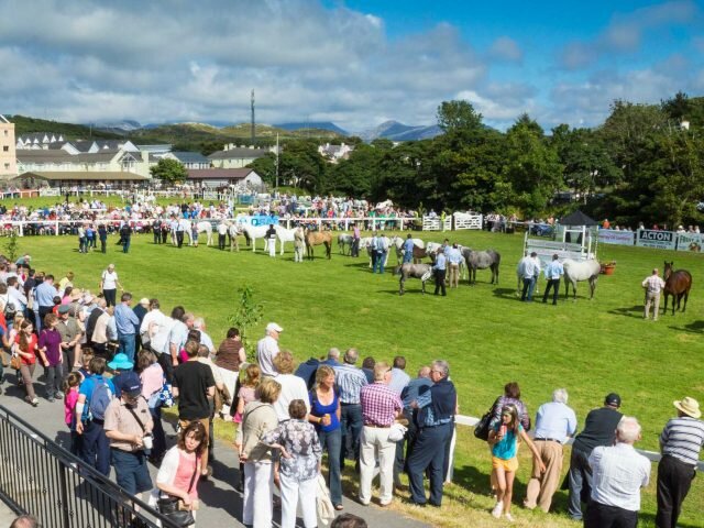 Connemara Pony Show Festival – 2022