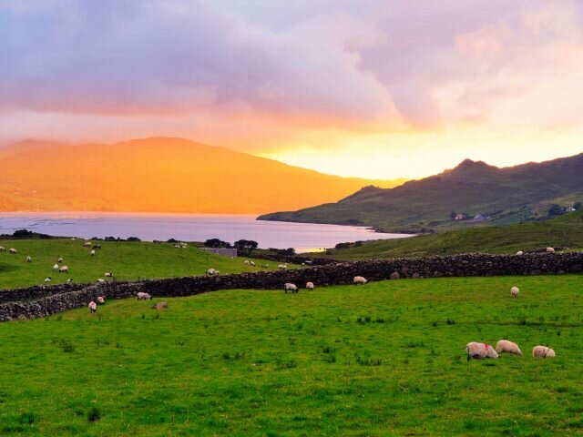 The Leenane Walking Festival